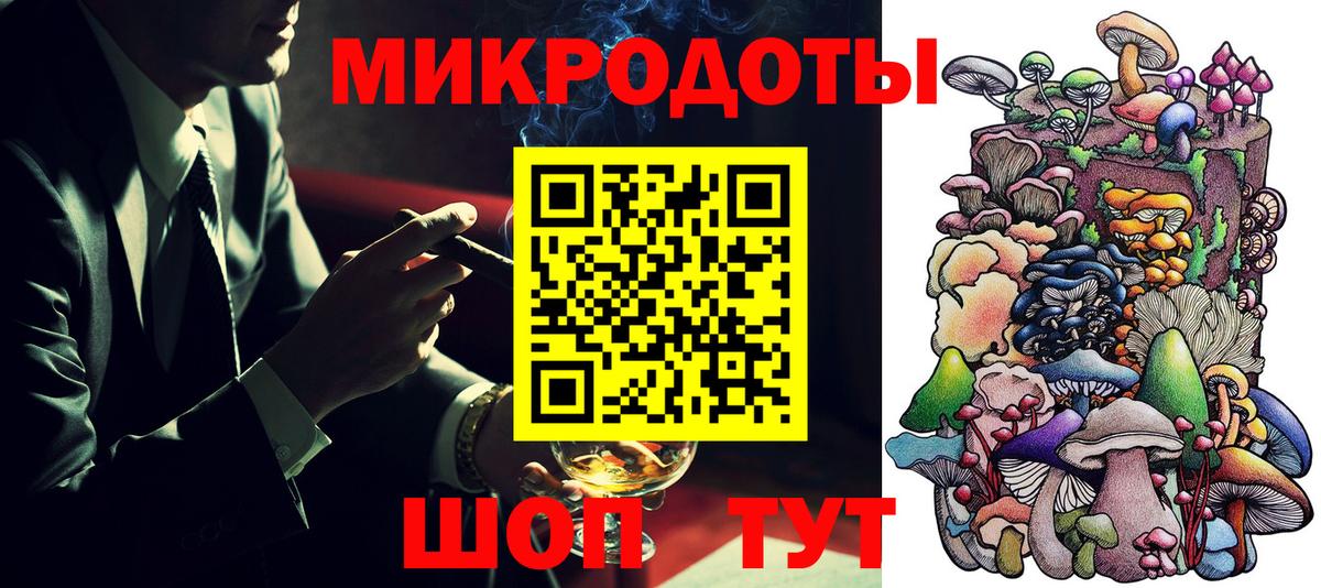 Галлюциногенные грибы Psilocybe Ефремов